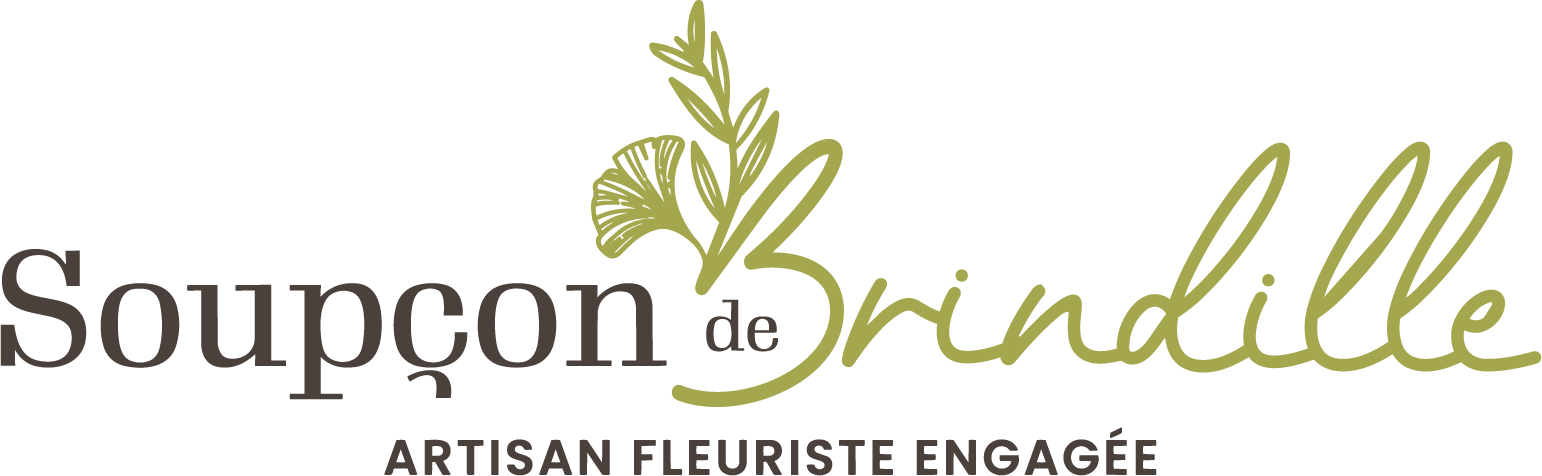 Soupçon de Brindille — logo (soupcon-de-brindille.png)