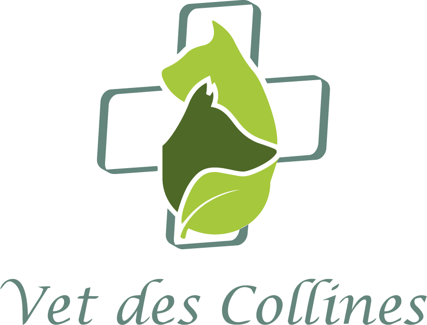 Vet des Collines — logo (vet-des-collines.png)